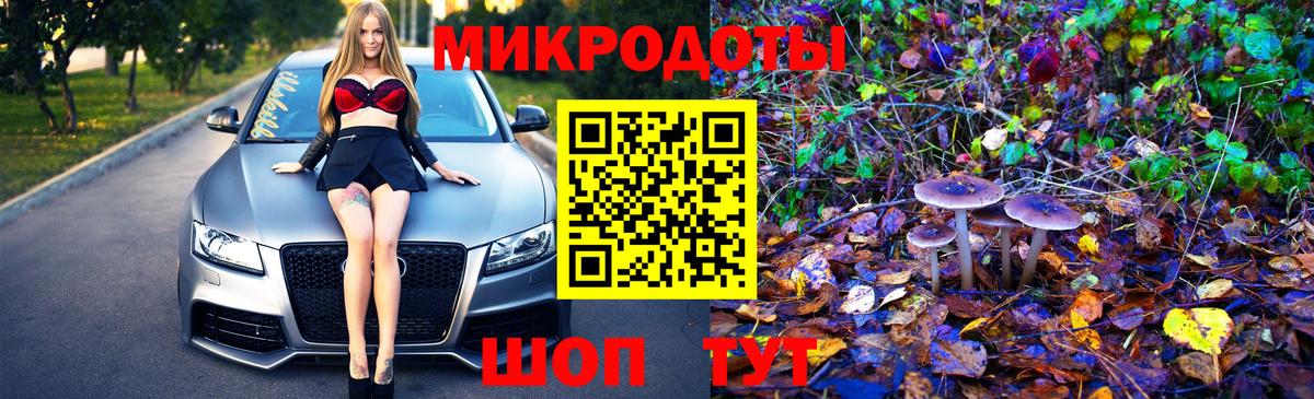 Псилоцибиновые грибы GOLDEN TEACHER  Вход с VPN  Ростов-на-Дону  Псилоцибиновые грибы Cubensis 