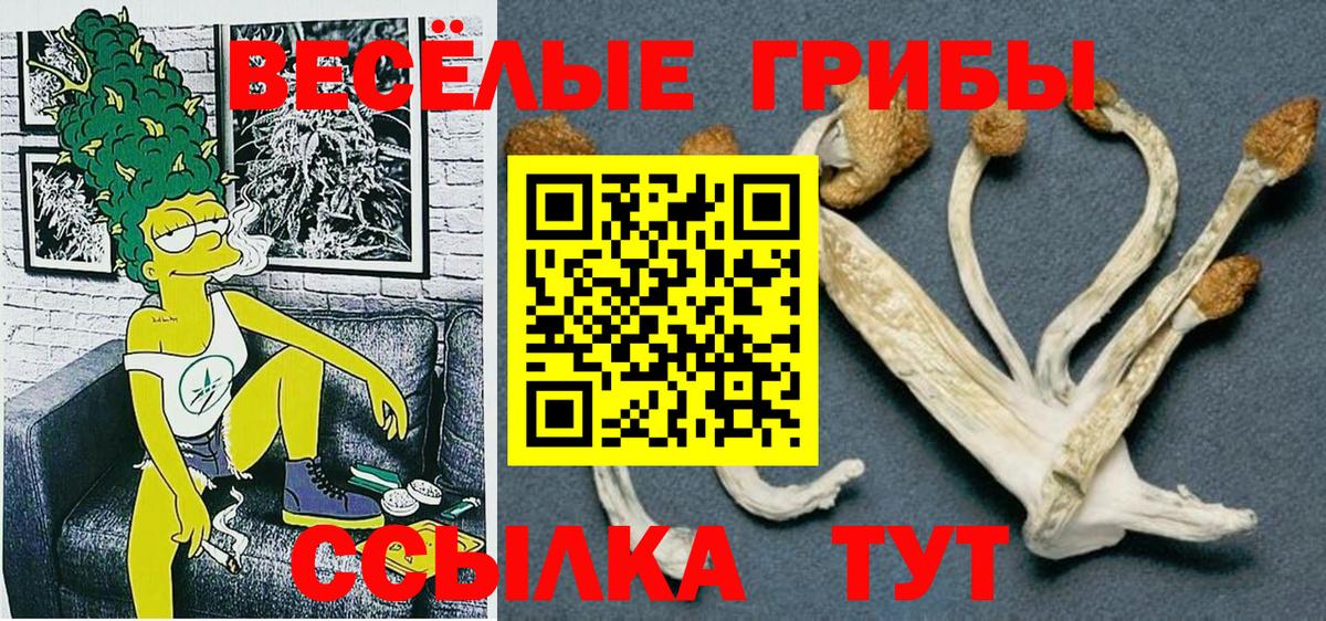 Псилоцибиновые грибы мицелий Ростов-на-Дону